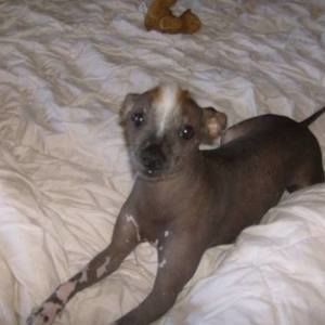 Meet your Posher, Toni